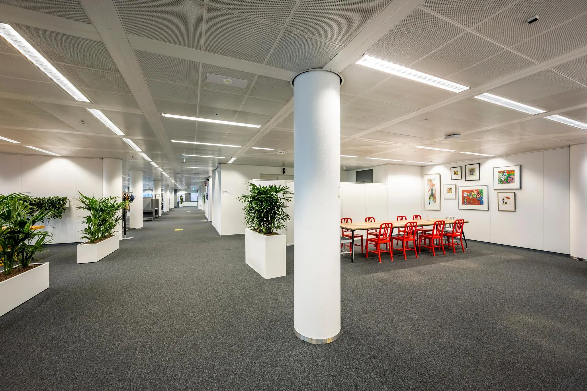 Moderne kantoorruimte aan de Burgemeester Rijnderslaan met rode stoelen, kunst aan de muur en veel groene planten.